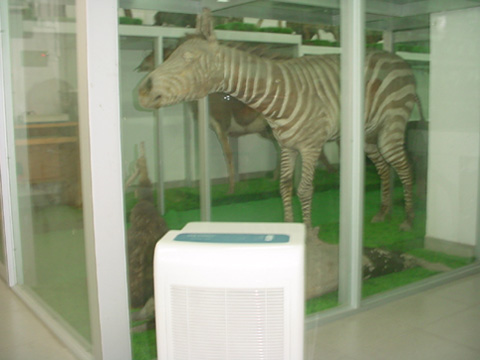 除濕機(jī)放在動(dòng)物標(biāo)本陳列柜邊