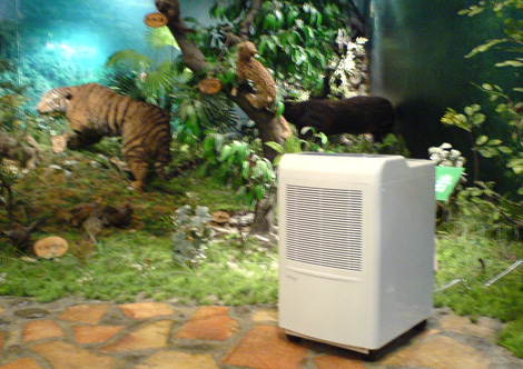 禽獸類標本區(qū)中的除濕機