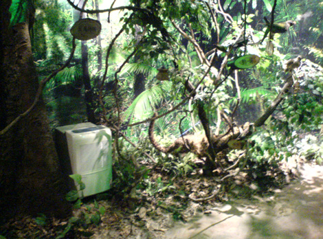 除濕機放置在熱帶鳥類標本區(qū)