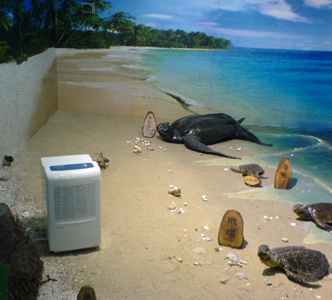 海龜標本區(qū)放置的除濕機