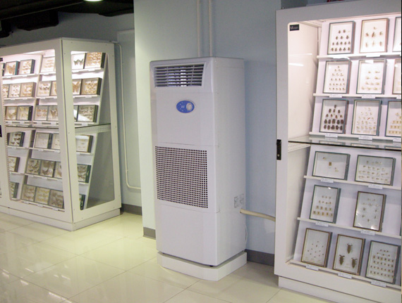 除濕機旁邊的昆蟲標本架