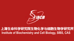 除濕機(jī)產(chǎn)品